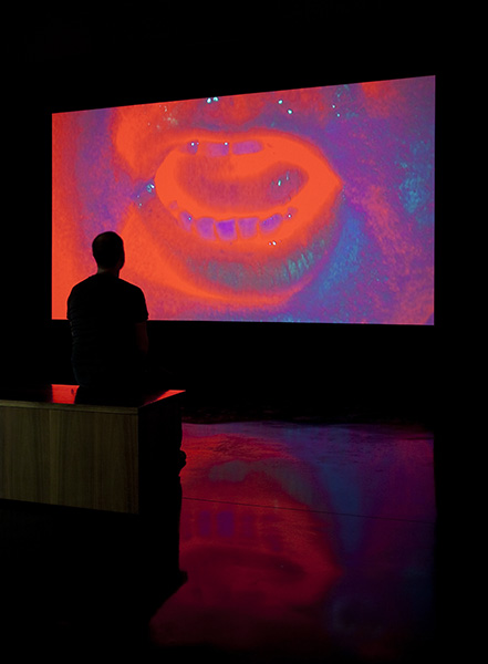 'N(I)B', 2011. HD video projection. Installed New Art Gallery Walsall.